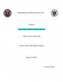 Ensayo sobre la elasticidad de oferta y demanda