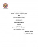 Distribución de probabilidad Poisson