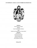 Impacto de la Automatización en el ámbito laboral