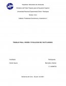 TRABAJO FINAL: ORIGEN Y EVOLUCION DEL PACTO ANDINO