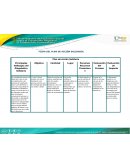 FICHA DEL PLAN DE ACCIÓN SOLIDARIA