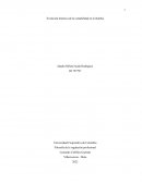 Evolución de la contabilidad en Colombia