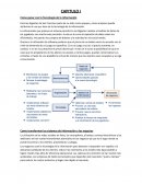 Como ganar con la Tecnología de la Información