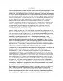 Ficha tecnica de publicidad en Colombia