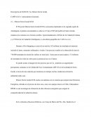 Minera Sierra Gorda SCM