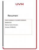 Administración: innovación, practica y valores