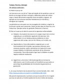 El prodigioso mundo de las hormonas - Profenatura (Sistema endócrino)