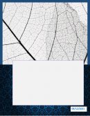 El desarrollo humano como aspecto fundamental en mi vida