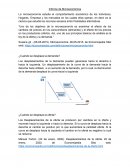 Informe de Microeconómica