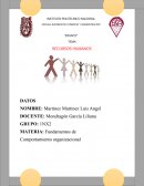 Fundamentos de Comportamiento organizacional