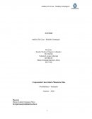 Análisis De Caso - Modelo Estratégico