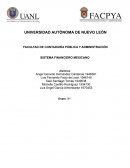 SISTEMA FINANCIERO MEXICANO . Problema de mercado de dinero