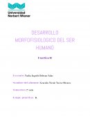 DESARROLLO MORFOFISIOLOGICO DEL SER HUMANO