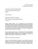 Contestación incidente mercantil