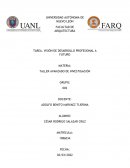 Visión de Desarrollo Profesional