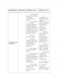 Nutrición durante la etapa preescolar y escolar