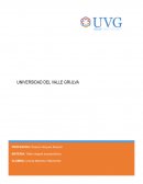 Albergue para perros