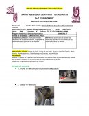 Programa Académico: Sistemas Automotrices