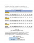 Estados Financieros - Formulación