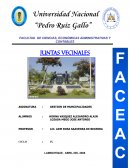 GESTION DE MUNCIPALIDADES