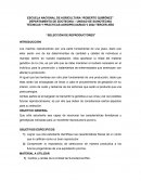 Selección de reproductores