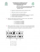 TALLER FINAL BIOLOGIA