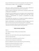 Cargos y funciones del administrador p.f.