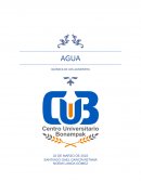 Agua Química de los alimentos