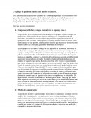 Explique de qué forma incidió cada uno de los factores