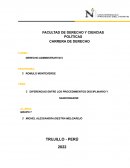 DIFERENCIAS ENTRE LOS PROCEDIMIENTOS DISCIPLINARIO Y SANCIONADOR