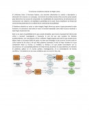 El critisismo e idealismo aleman, Hegel y Kant