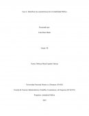 Identificar las características de la Contabilidad Pública