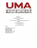 Práctica: Practica N°7 Síntesis de Oxima– Obtención de Canforoxima