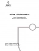 ANALISIS PESTA NETFLIX