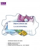 Conceptos y principios de la economia