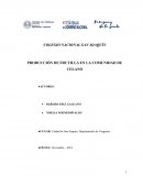 PRODUCCION DE FRUTILLA EN LA COMUNIDAD DE CELANO