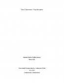 MI AUTORETRATO ALTAS Y BAJAS