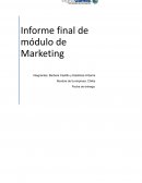 Informe final de marketing