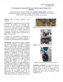 Determinación de aminoácidos libres por el método espectrofotométrico de ninhidrina