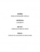 CONSULTAS EN BASE DE DATOS