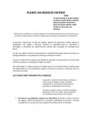 PLANEE UN NEGOCIO EXITOSO