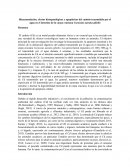 Bioacumulación, efectos histopatológicos y apoptóticos del cadmio transmitido por el agua en el intestino de la carpa cruciana Carassius auratus gibelio