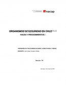 ORGANISMOS DE SEGURIDAD EN CHILE ROLES Y PROCEDIMIENTOS
