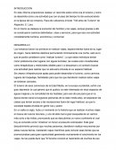 Informe sobre el libro "100 años de turismo"