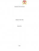 Tigre Blanco Pelicula