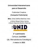 CAMPAÑA PUBLICITARIA