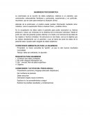 ANAMNESIS PSICOSOMATICA