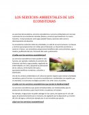 LOS SERVICIOS AMBIENTALES DE LOS ECOSISTEMAS