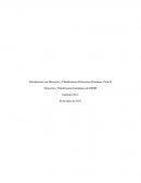 Introducción a la Dirección y Planificación de Recursos Humanos