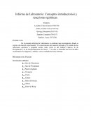 Informe de Laboratorio: Conceptos introductorios y reacciones químicas